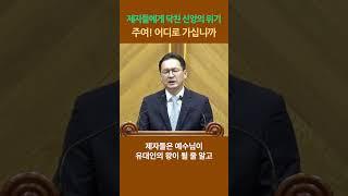 (2) 신앙의 위기, 주여! 어디로 가십니까?