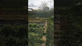 сад огород
