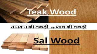 Teak vs Sal Wood - Difference Explained - कौन सी Wood सबसे अच्छी है ?