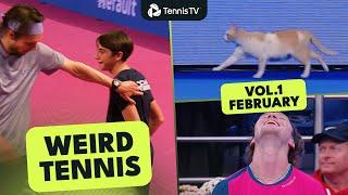 Cats on Court, Ball Kids Playing & Underarm Serves All Over! | Weird Tennis Vol. 1