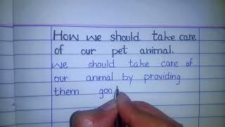 Paragraph on Taking Care of pets Animals/Let's Talk About Taking Care of Pets/our knowledge