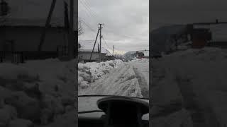 Бронька !!!