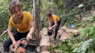 farms, sawing wood, building and assembling wooden floors