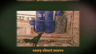 Sony Make a Short Film||@RoyalStagBarrelSelectShorts