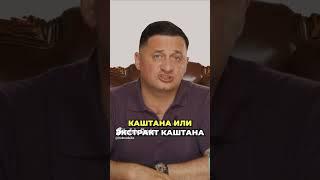 Как вылечить хронический панкреатит дома простыми травами?