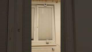 Smarwi (windows IoT opener) controlled by Google Home