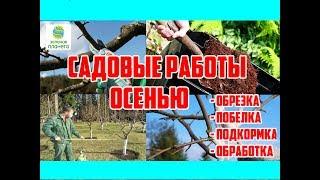 Обработка сада от вредителей и болезней / Подготовка фруктового сада к зиме