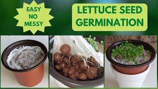 How To Germinate Lettuce Seeds In Clay Pebbles | Easy Hydroponics