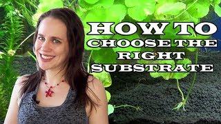 How to choose the best substrate for your Aquarium