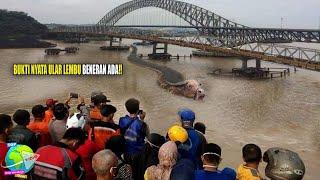 Bukti Nyata Ular Lembu Sungai Mahakam Masih Hidup !! Lilitannya Hancurkan Satu Rumah Warga...