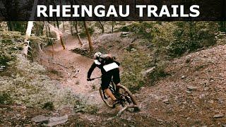 Rheingau Trails - Wir erkunden mal die andere Rheinseite ab Bingen