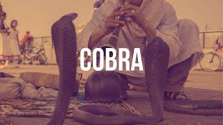 Arabic Type Beat 2021 | "COBRA" | Arabic Trap Instrumental - PRODBYVINTRO