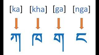 The 30 Tibetan Alphabets