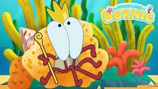 NEW The Adventures of Bernie  GREAT KING BERNIE | Zig & Sharko - Cartoons for Kids