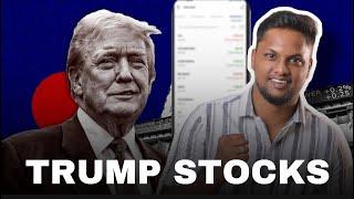 Stocks that benifits from Trump’s victory | Long term stocks | GreyAnswers