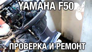 ️YAMAHA F50A. Проверка Б/У мотора перед покупкой и последующий ремонт