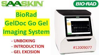 BioRad GelDoc Go Gel Imaging System | UNBOXING | INTRODUCTION | GEL EXCISION | #12009077