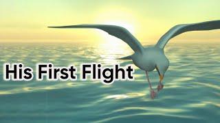 His First Flight Class 10 animation in English Two Stories About Flying Part-1 animated video