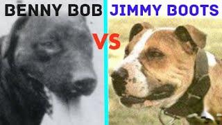 Classic Match: Benny Bob vs. Jimmy Boots. #apbt #dogtalk #apbthistory #gamedog #sportingdogs