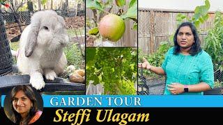 Home Garden Tour in Tamil | Steffi's Garden 2023 | Steffi Ulagam