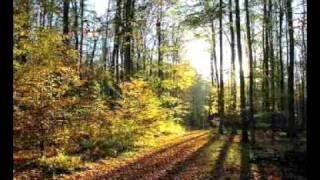 Johann Strauss II. - Geschichten aus dem Wiener Wald (Walzer, op.325)