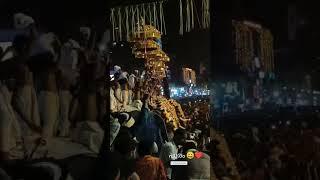 Thrissur pooram 2025 | Aanachandam | Temple pooram vlogs | #pooram #elephant #keralagallery#shorts
