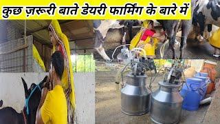 Tips For Success Full Dairy Farming In India l  dairy farming tips and tricks l