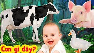 What animal is it?  Kids Learn Animals Name&Sounds of Cow, Pig, Dog, Cat, Duck - Videos for Kids