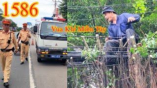 Vua Khỉ Miền Tây đi lên đường dây điện chyền qua nhiều cây Gừa ở quốc lộ 1A Cutting trees