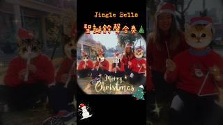 Jingle Bells演奏 音樂技巧不完美，但聖誕氛圍感滿分！#JingleBells #直笛 #國小音樂課  #聖誕音樂 #聖誕合奏#教育  #recorder#christmas