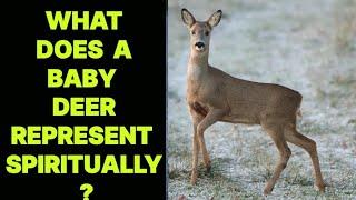 WHAT DOES A BABY DEER REPRESENT SPIRITUALLY ?