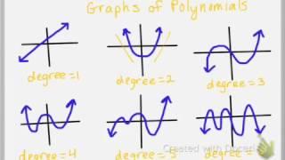 Introduction to Polynomial Functions