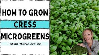 How to Grow Cress Microgreens - Full Walkthrough - On The Grow