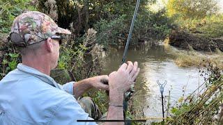 Just out of view trip 313 (fishing a single lob worm in a rising small river)