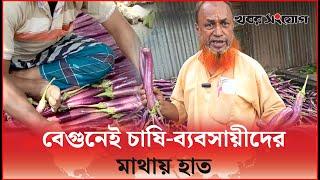 বেগুনের দাম কমায় হতাশ চাষি-ব্যবসায়ীরা | Brinjal | Ramadan | Khobor Songjog