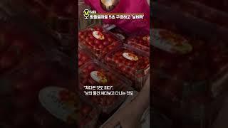 토마토 5초 구경하고 '날벼락' 맞은 행인 [shorts]