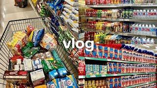 GROCERY VLOG PH  realistic grocery shopping, monthly essentials, life in MNL, asmr grocery with me