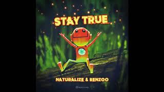 Naturalize & Benzoo - Just Don't - Official