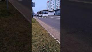Маз 105.465. Респект водителю! Поморгал! #беларусь #автобус #жлобин #транспорт #маз