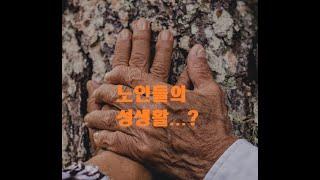 노년기 성생활???