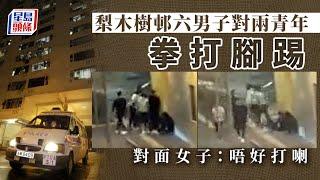 梨木樹邨六男圍毆兩青年 對面女子：唔好打喇