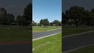 Alexander Laurence reads "Returning Home" at Good Shepherd Cemetery 2024