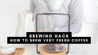 Brewing Hack: How to Brew Very Fresh Coffee?