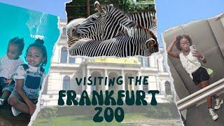 Germany Living| Visiting the Frankfurt Zoo Vlog