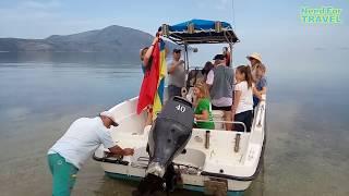 Sea Tour to Karaburun Peninsula - Orikum, Albania,  Part 1