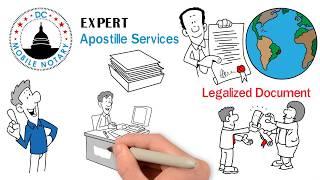 DC Mobile Notary & Apostille services