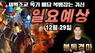 복병귀신 불독의 12/29(일) 전경주 복병&축마 오픈! 일요예상 방송! #경마#불독경마 #경마예상