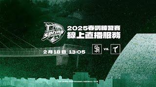 20250218春訓練習賽 南非代表隊 vs.台鋼雄鷹 賽事直播