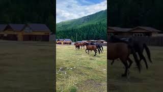 #Алтай Это была интересная прогулка!!
