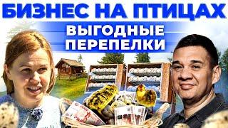 Яйца или мясо? | Сколько приносит птица и как заработать? Марина Алёхина | Андрей Даниленко